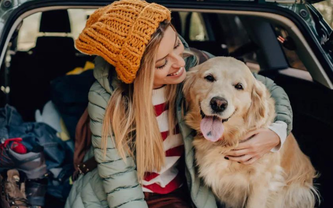 PETSTOP TRAVEL ESSENTAILS SALE